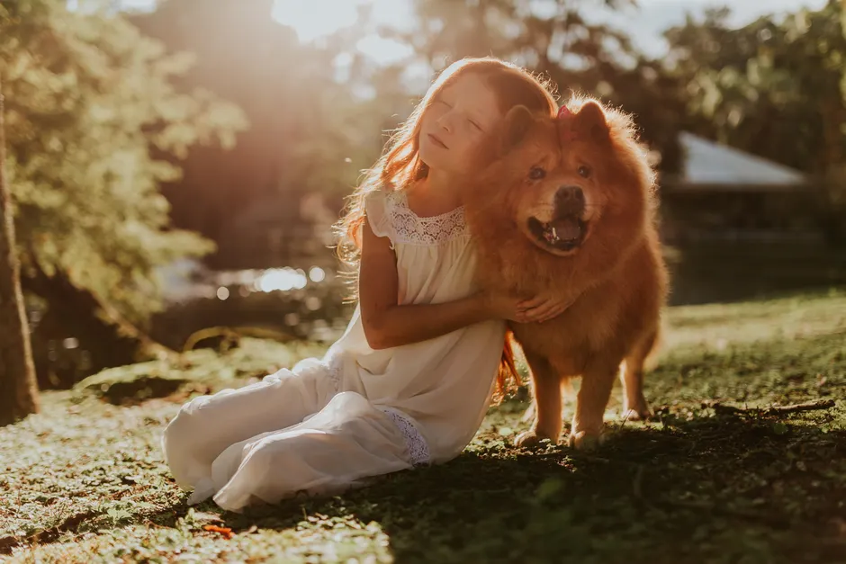 Hund und Katze liegen entspannt nebeneinander in einem gemütlichen Wohnraum.